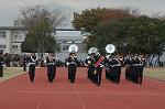 Dcim4336/DSC_5419