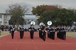 Dcim4336/DSC_5420