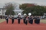 Dcim4336/DSC_5421