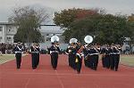 Dcim4336/DSC_5423