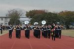 Dcim4336/DSC_5424