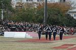 Dcim4336/DSC_5427