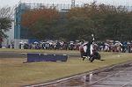 Dcim4336/DSC_5511