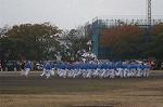 Dcim4336/DSC_5518