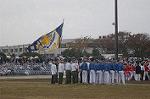 Dcim4336/DSC_5529