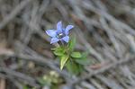 Dcim4337/DSC_6255