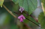 Dcim4338/DSC_6367