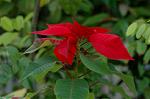 Dcim4338/DSC_6400