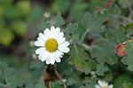 Dcim4351/DSC_7569