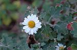 Dcim4351/DSC_7570