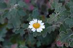 Dcim4351/DSC_7571