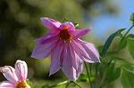Dcim4351/DSC_7612