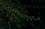 Dcim4353/DSC_5845