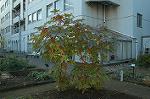 Dcim4353/DSC_5883