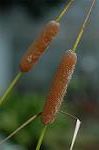 Dcim4354/DSC_7811