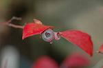 Dcim4354/DSC_7844