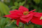 Dcim4355/DSC_7946