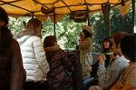 Dcim4368/DSC_8620