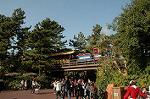 Dcim4369/DSC_8776
