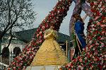 Dcim4369/DSC_8828