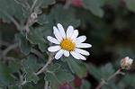 Dcim4379/DSC_9715
