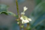 Dcim4382/DSC_9992