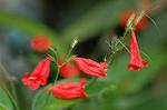Dcim4384/DSC_0118