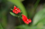 Dcim4384/DSC_0120