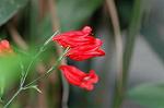 Dcim4384/DSC_0125