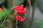 Dcim4384/DSC_0126