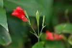Dcim4384/DSC_0130