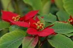 Dcim4384/DSC_0158