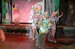 Dcim4390/DSC_0772