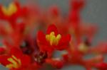 Dcim4397/DSC_1447