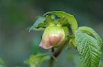 Dcim4397/DSC_1514