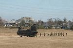 Dcim4398/DSC_1591