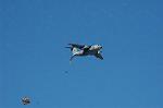 Dcim4400/DSC_1725