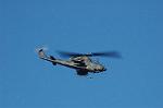 Dcim4401/DSC_1868