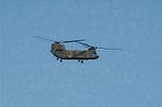 Dcim4402/DSC_6948
