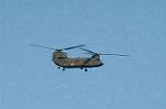 Dcim4402/DSC_6950