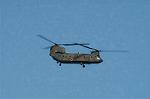 Dcim4402/DSC_6951