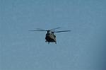 Dcim4402/DSC_6988