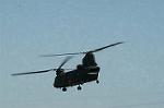 Dcim4402/DSC_7003