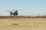 Dcim4404/DSC_2095