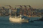 Dcim4405/DSC_1996