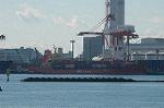 Dcim4407/DSC_2296
