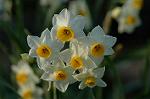 Dcim4413/DSC_2430
