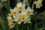 Dcim4413/DSC_2432