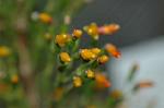 Dcim4413/DSC_2508