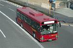Dcim4415/DSC_2544